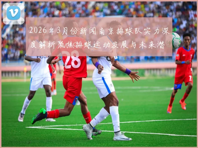 2026年3月份新闻南京排球队实力深度解析聚焦排球运动发展与未来潜力